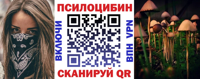 где продают наркотики  Кодинск  Галлюциногенные грибы GOLDEN TEACHER 